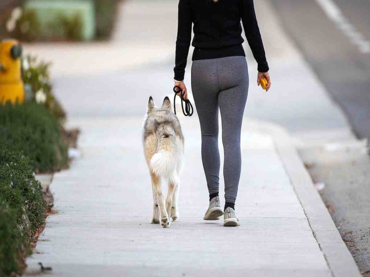 donna passeggia col suo cane